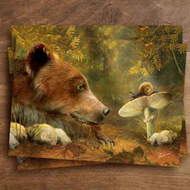 Kaart voor Kaartenlampje | Wonderment