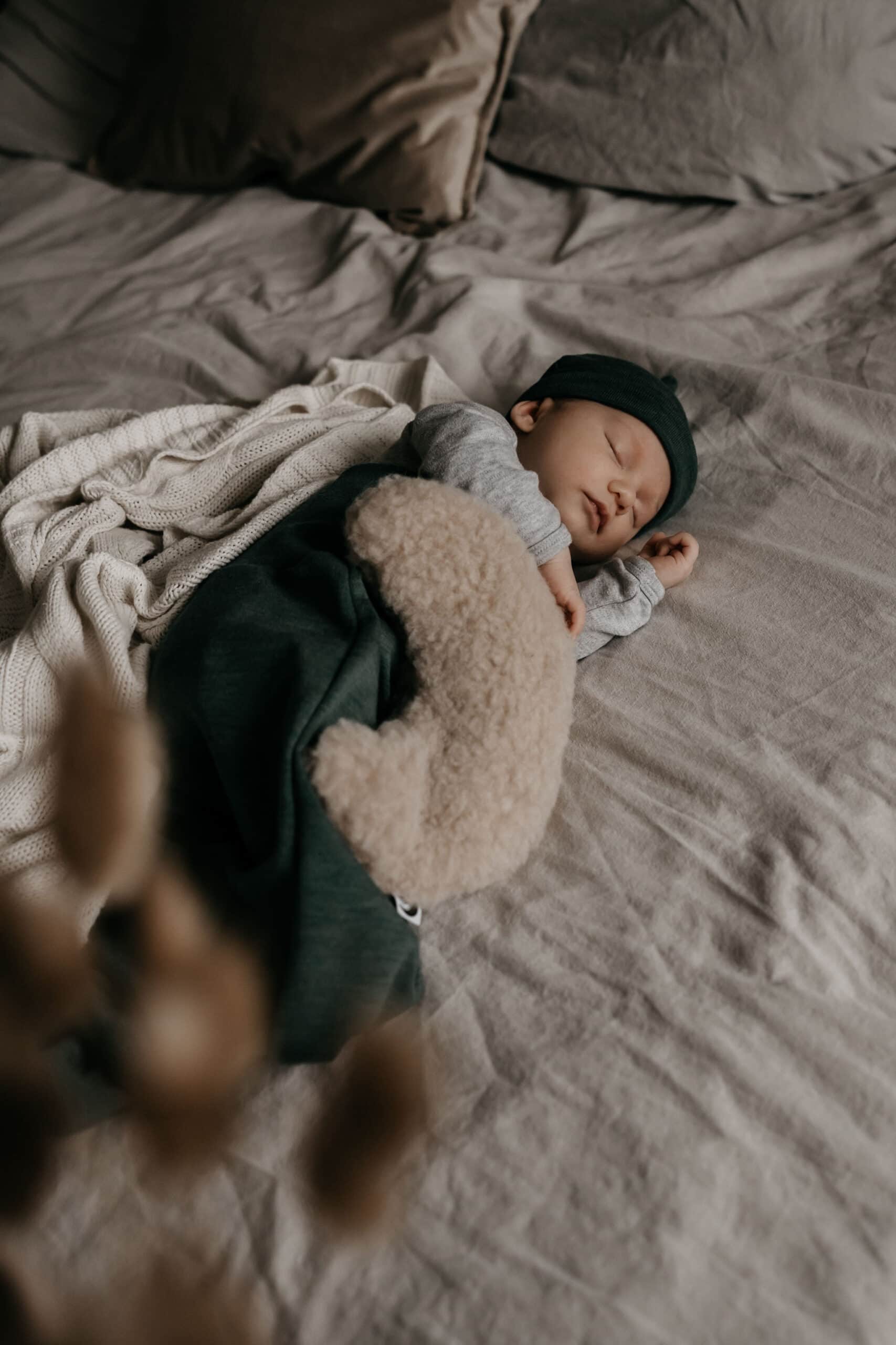 Cocoon Merino Wool - Sage